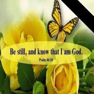 Meet your Posher, Vicky